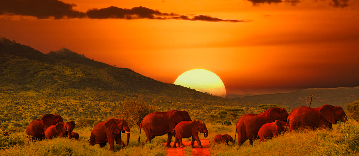 Tsavo National Park