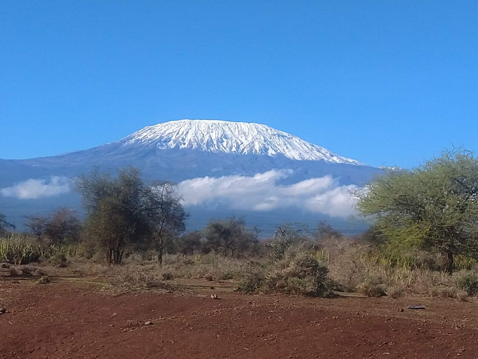 Snow-capped Mount Kilimanjaro above cloud and scrub