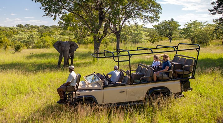 safari-trip